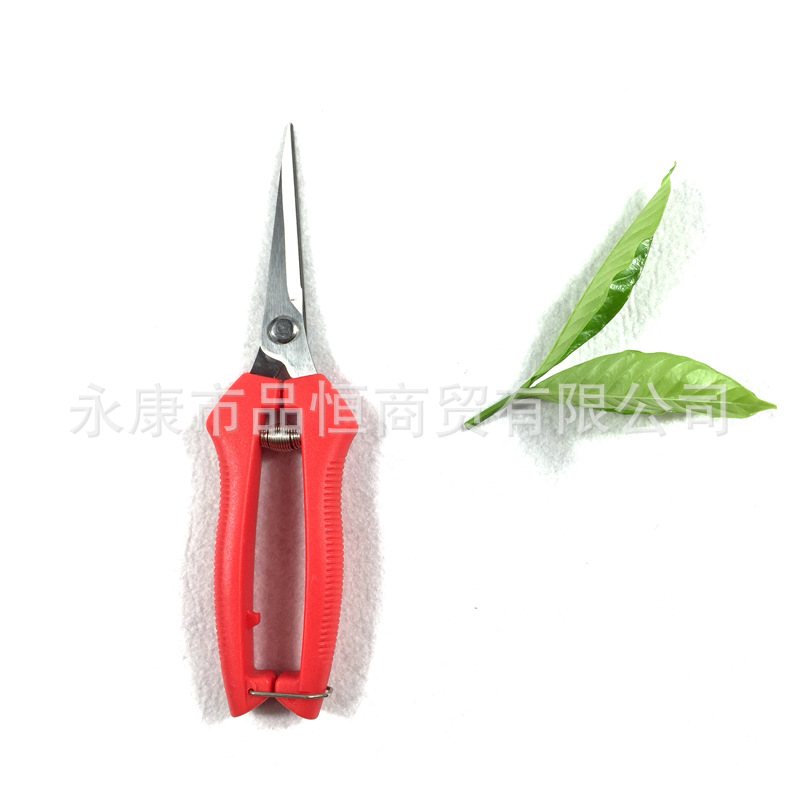 园艺剪刀果树剪刀稀嫩芽剪花木蔬果剪刀葡萄枝条尖剪花椒采摘剪