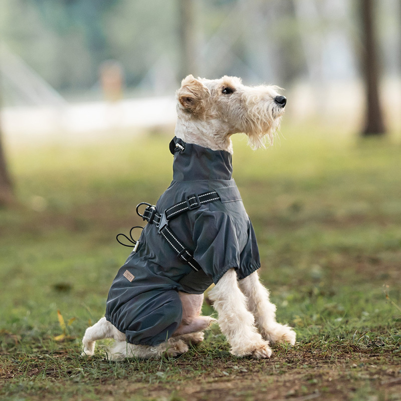 アマゾンの中の小型犬の四足の子犬のレインコートは犬のレインコートの防水のペットの服の屋外の反射を牽引することができます。|undefined