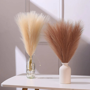 Simulation Reed Nordic Ins Decorative Artificial Pampas Grass Amazon Cross-border Wholesale