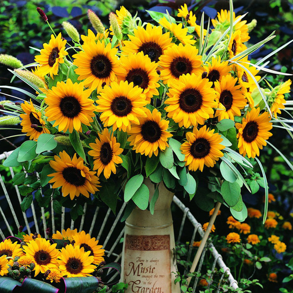 Sunflower Seeds to see edible flowers and flowers