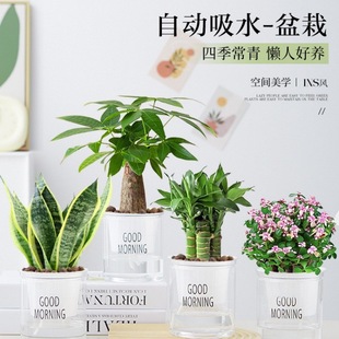 �Gֲ�����҃��׃��@����Сֲ��͏d�k�������滨�ܰlؔ��ˮ��G�}