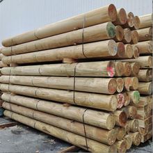 �Ĵ�ɼľ���ӑ������ľ������ľ�A����ľ�����Aľ���Aľ������ľ