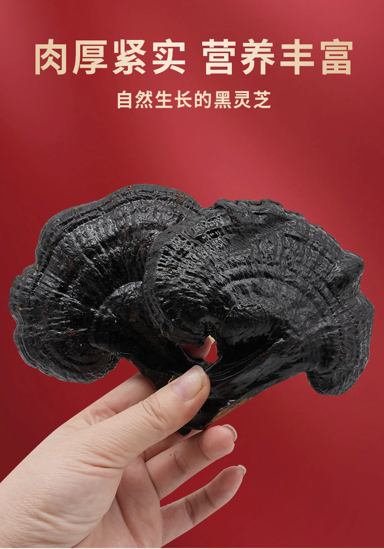 Black Lingzhi Whole Dried Reishi Mushroom 500g Changbai Mountain Hei Ling Zhi for Soup and Tea overview