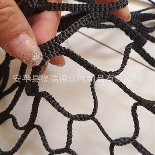 �������Q���ڷ��B�W