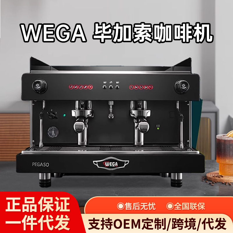 Wega Pegaso Picasso Commercial Semi-Automatic Double/Single Head Coffee Machine E61 Professional Espresso Machine