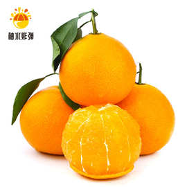 【严选 5折】柚水炸弹 礼盒装 红美人果冻橙 红美人柑橘水果整发