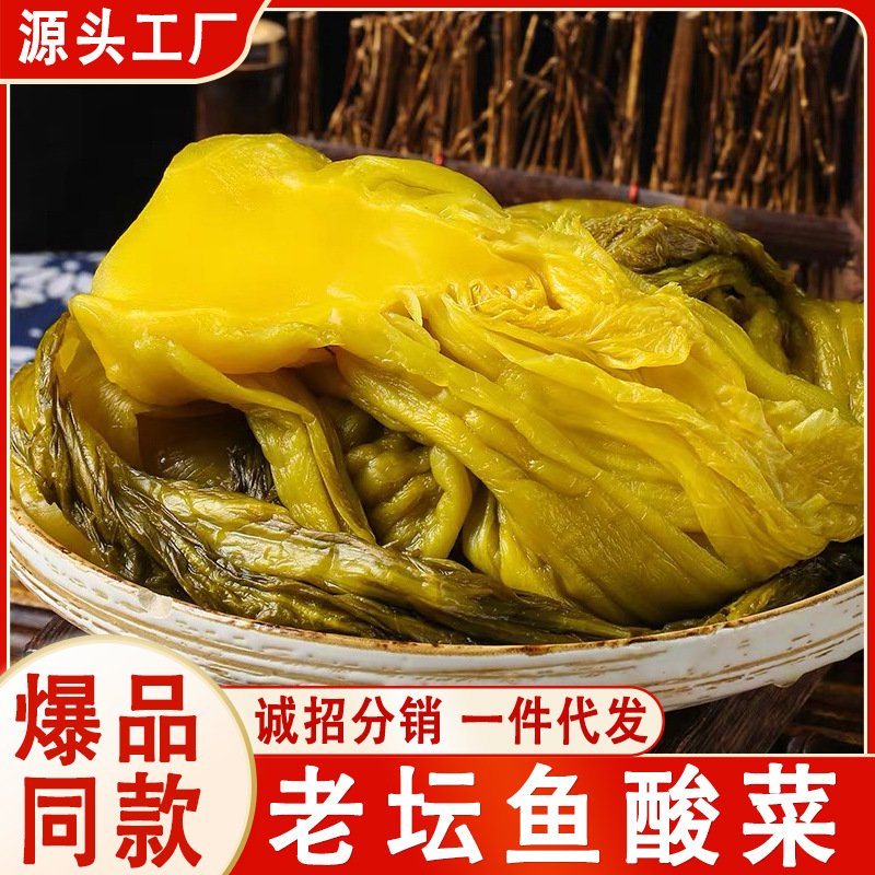 四川贵州正宗鱼酸菜老坛酸菜下饭酸菜鱼400g大袋装批发商用家用