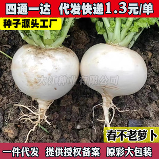 �������nѩ��A���}���N�Ѵ����֭ˮ���}���N�Ӵ����N�_�����r��