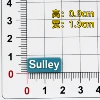 sulley