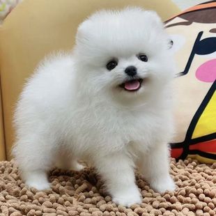 ���N������Ȯ���w��������ȮС�Ͱ�HȮ�豭ȮС�����￡��Ȯ���l