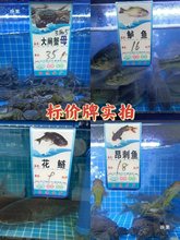 ���r�ؘ˃r�Ɓ�����꺣�r����10*18 �~��ˮ�a�ؒ�ʽ���r���~�