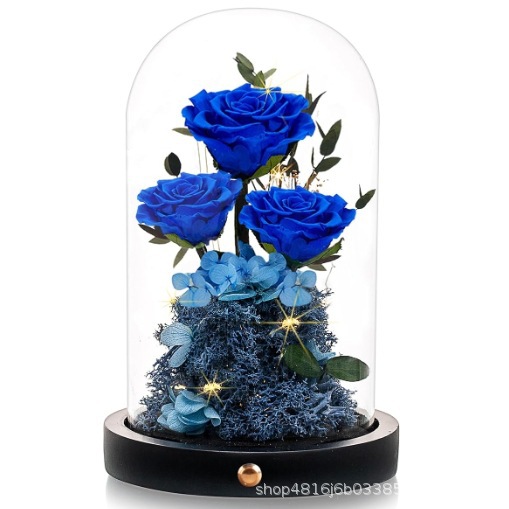 永生花玫瑰成品  三朵 礼物生日纪念日 情人节 圣诞节 母亲节