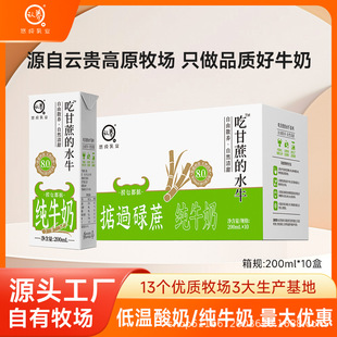 �J�B�Ը����ˮţ��200ml*10�е��^µ��ˮţ�̌W������̃�ͯţ��