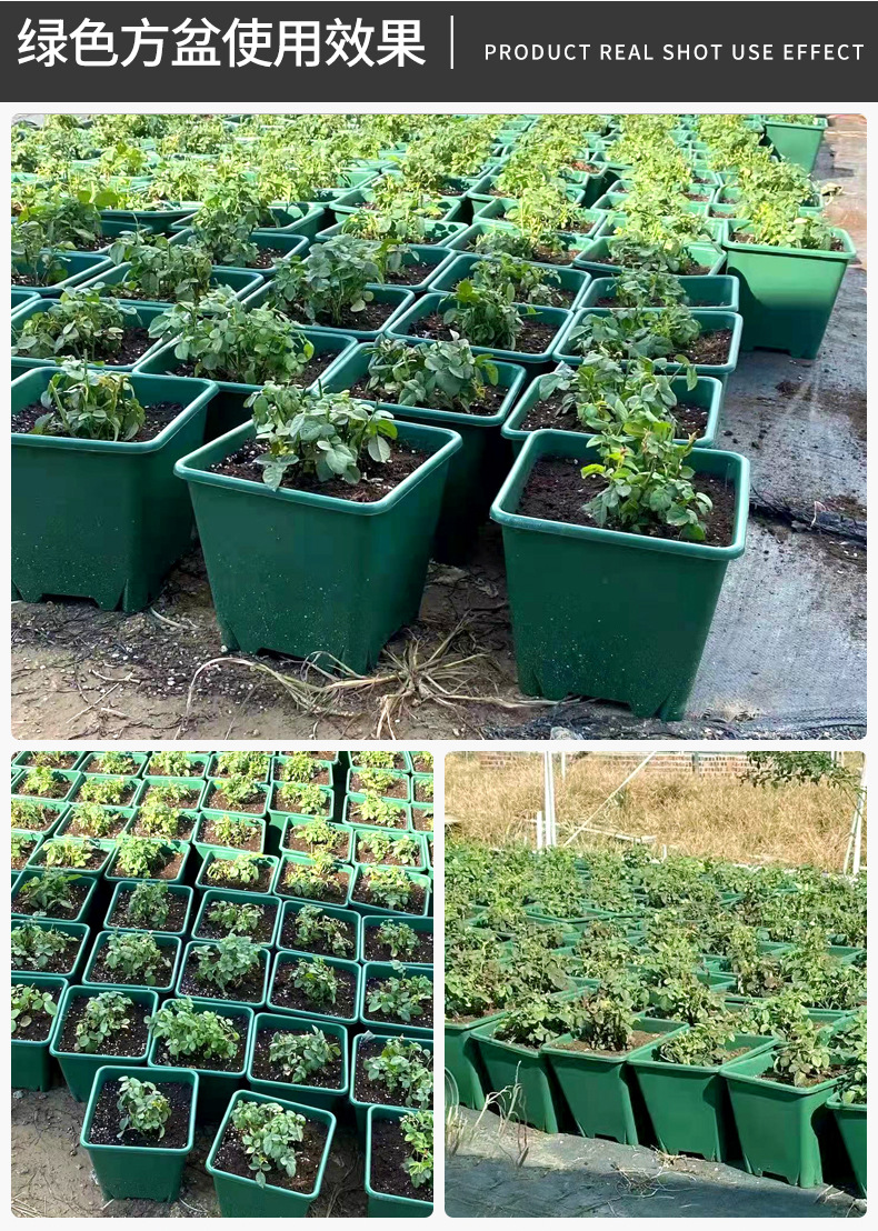 绿色方盆详情_15.jpg