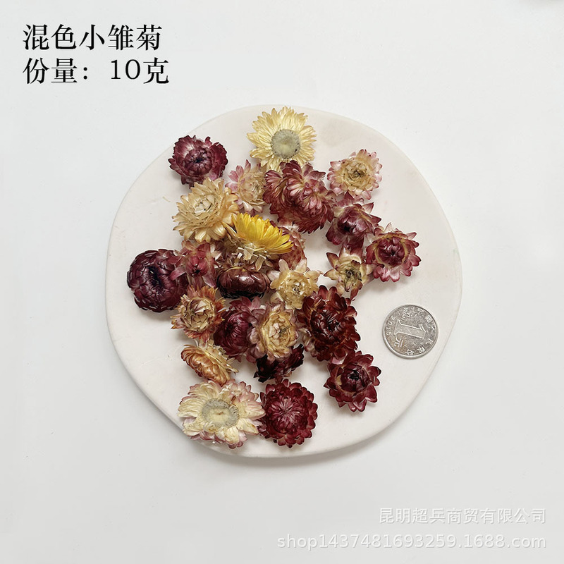 【各种果实类干花】圣诞果实类装饰品干花干果香薰蜡烛DIY橡果精|undefined
