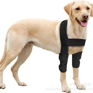 Factory Supply Pet Rehabilitation Protector Dog Supplies Knee Protector Animal Injury Protector Dog Leg Protector Pet Protector