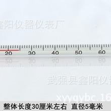 �����tˮ�ض�Ӌ �ƾ��ض�Ӌ �tҺ�ض�Ӌ 30CM 0-100��