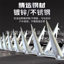 ���Ϸ������׃��@�S����������I���\304���P䓺�ɫ����o�F����