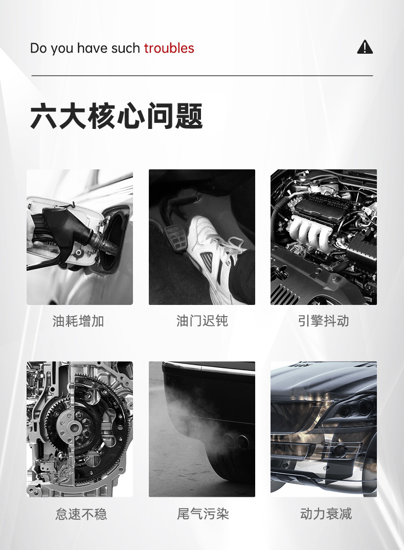 Premium BaFu G17 Fuel Additive Gasoline Additive for Cars, Carbon Deposit Remover, Fuel Cleaner, Engine Cleaning Agent