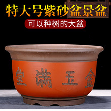 ��ڏ���ɰ�����̨ͥԺ�N����A�Θ䘶�����������մɷN���辰��