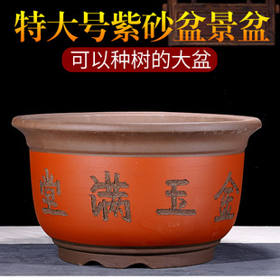 ��ڏ���ɰ�����̨ͥԺ�N����A�Θ䘶�����������մɷN���辰��