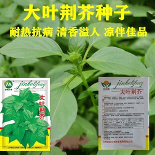 ���~�G��N�Ӻ��Ͽ�ʳ���G��˷N���߲˷N���ļ��G���r����@�N��