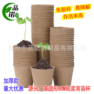 ����PѨ�P���{�Nֲ������ �I�B���߲����N�I�B��8CM ���� �����