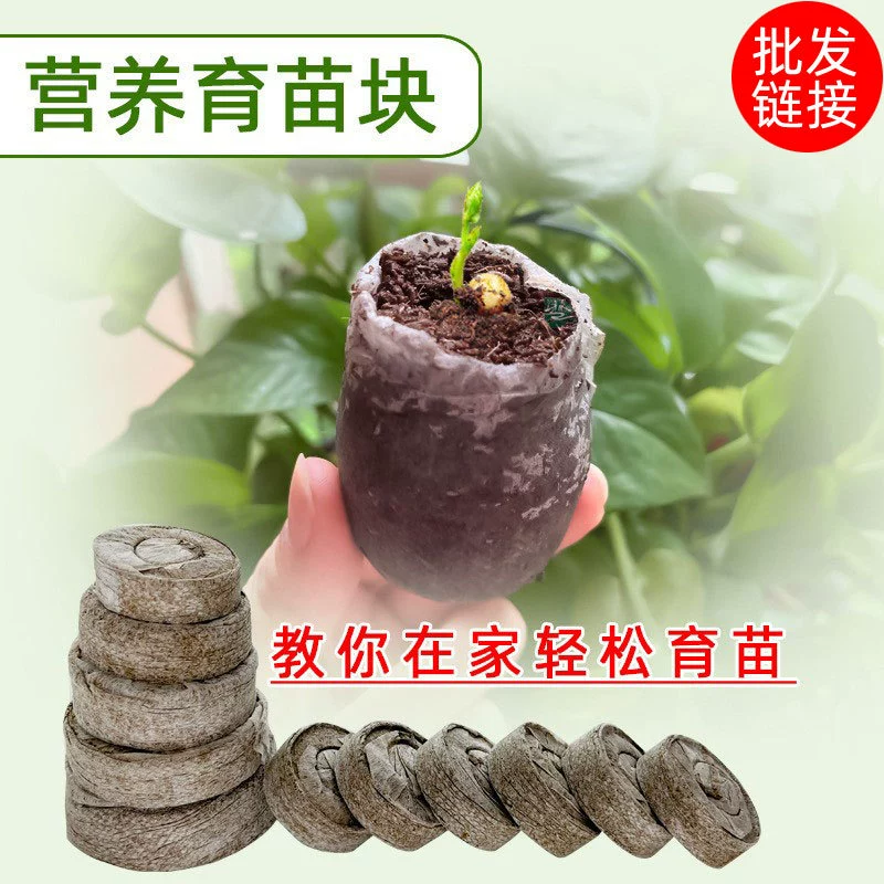 Блок для рассады пробка питание субстрат блок Овощной мясистый цветок сельскохозяйственная каменная вата беспочвенная культура питание с высокой всхожестей
