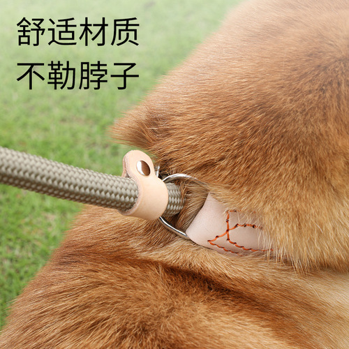 Dog leash bolt slip P chain collar medium and small dog explosion-proof Teddy anti-breakaway pet supplies wholesale