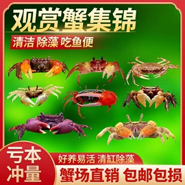 观赏鱼;其它水族用品;猫砂