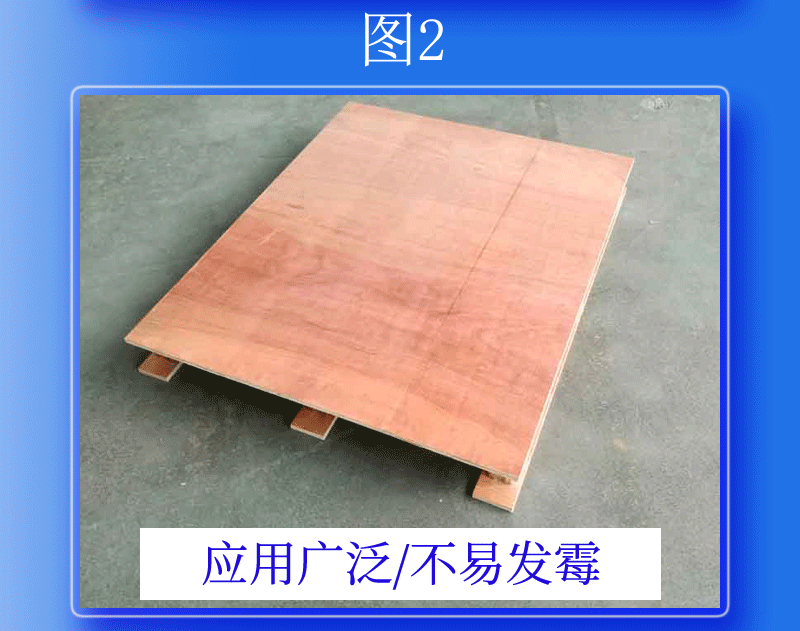 O1CN01Ioeup81SEyXL5BifE_!!964782216-1-cib.gif?__r__=1687849396037