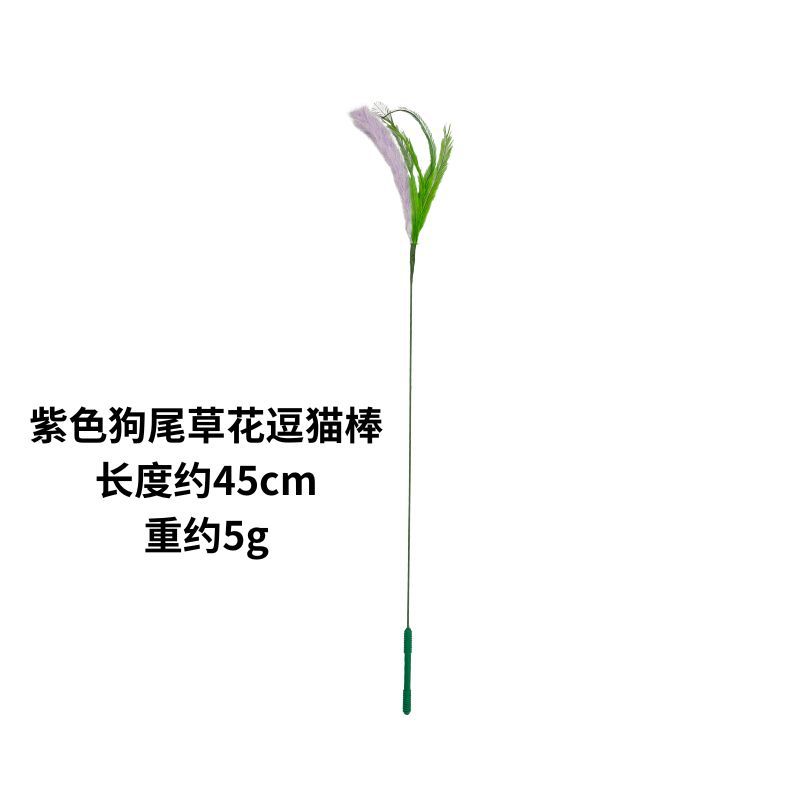 보라색 세타리아 꽃 고양이 웃긴 스틱