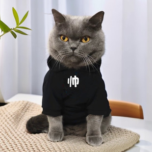С؈���Ц�·��ﶬ��С��Ȯ�������ߵ��Ĳ�ż؈�ӽq��ů�����l��