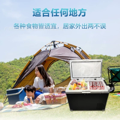 Refrigerated Car Refrigerator, Soyuducular