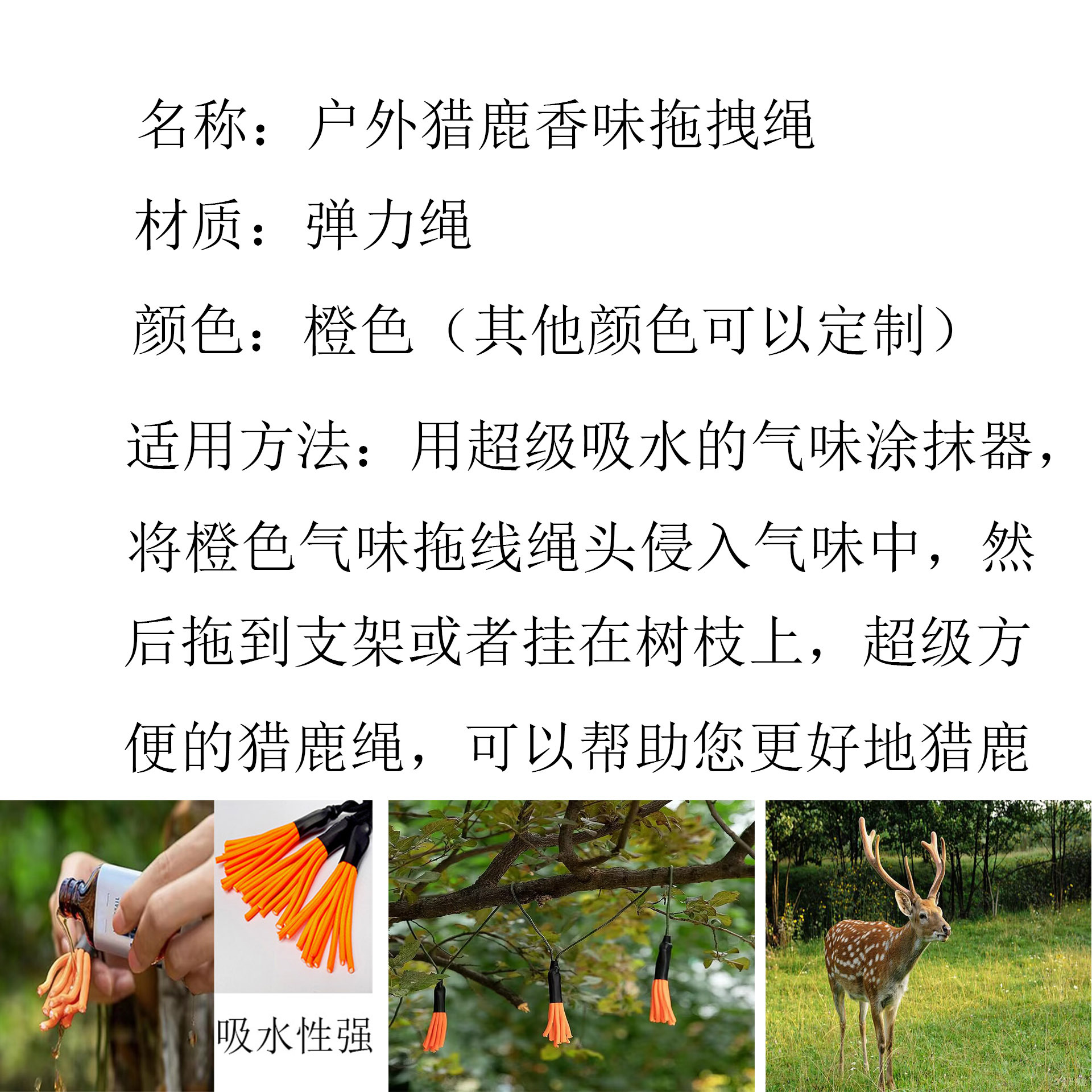 QQ图片20241012164510