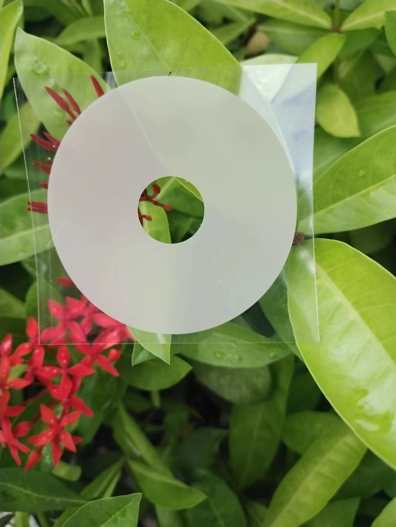 O1CN01dZkiX11TGBDfTQ175_!!2209