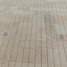 �͠�ɳ�pľ���pľƬ��϶ࠖ�a���L늊Aо����BALSA�pľ��ɳľ��