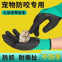 宠物防咬手套喂食仓鼠用品安全养护防护抓玩猫喂鹦鹉兔子橡胶手套