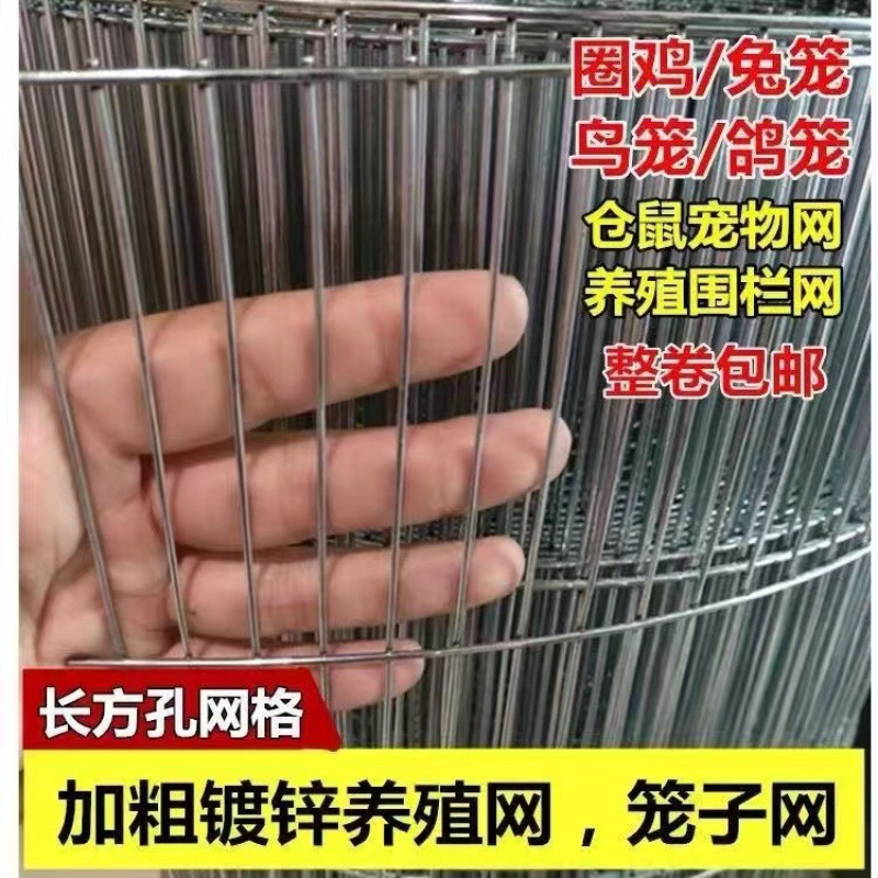 镀锌铁丝网长孔养殖网鸽舍铁网鸟笼网片鸡兔笼网围栏网钢丝防护网