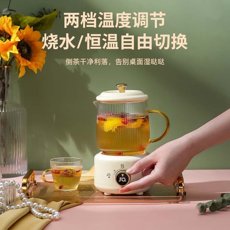 Office health pot small multifunctional one-person tea brewing pot household mini stewing cup wholesale