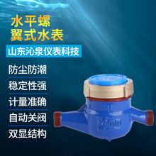 SҹҎˮƽʽˮڏʽˮС^ˮˮ