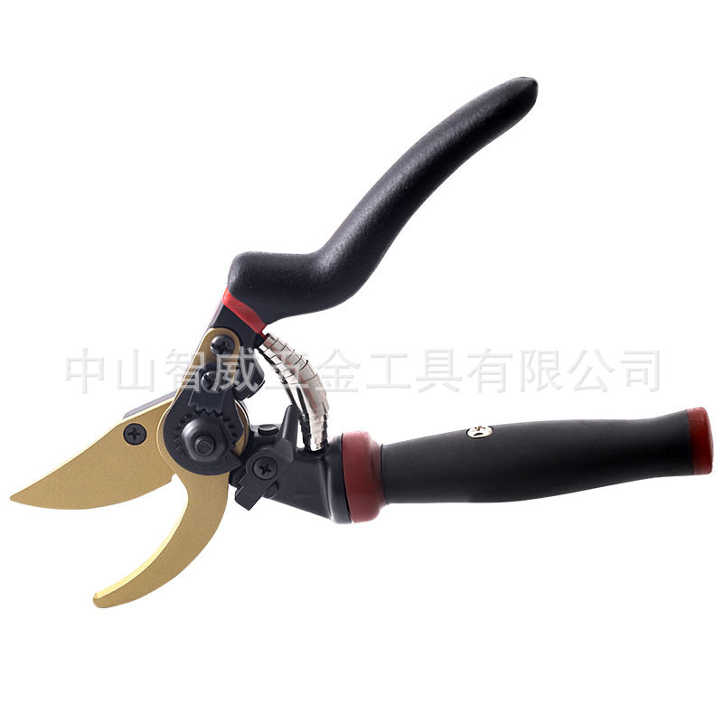 ��ͼ���׵ף�_����