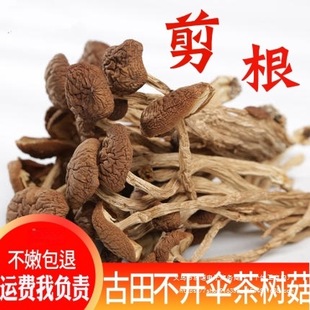 ������乽��؛500g���ﲻ�_�������Ҝ�ʳ��С�㹽�ԷN