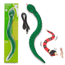 Smart sensing snake 늄ӿɳ늶؈ t⾀ϸБ