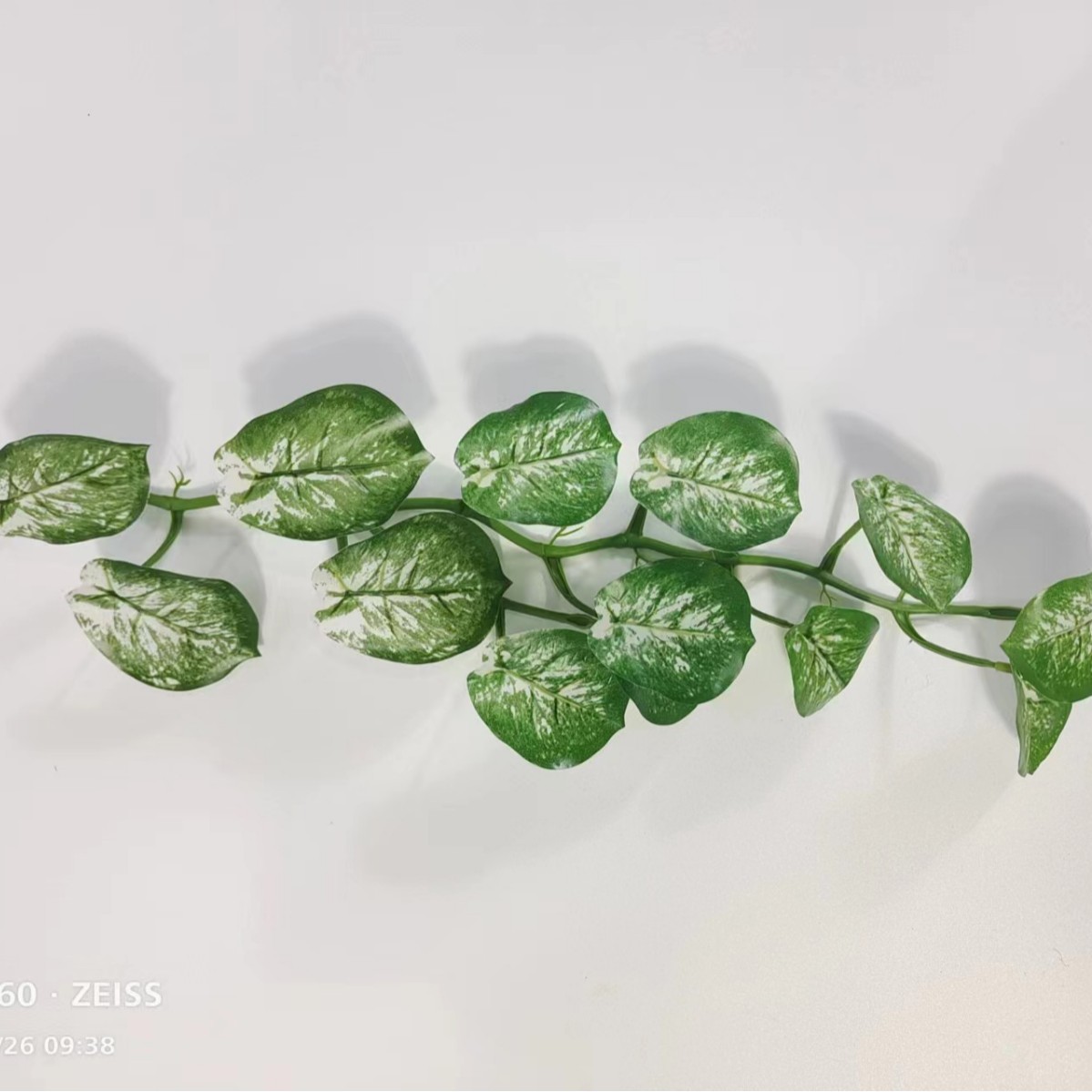 Flor de simulación al por mayor 9 hojas de monstera de simulación verde sobre pegamento Monstera simulación de pared de plantas flor de simulación