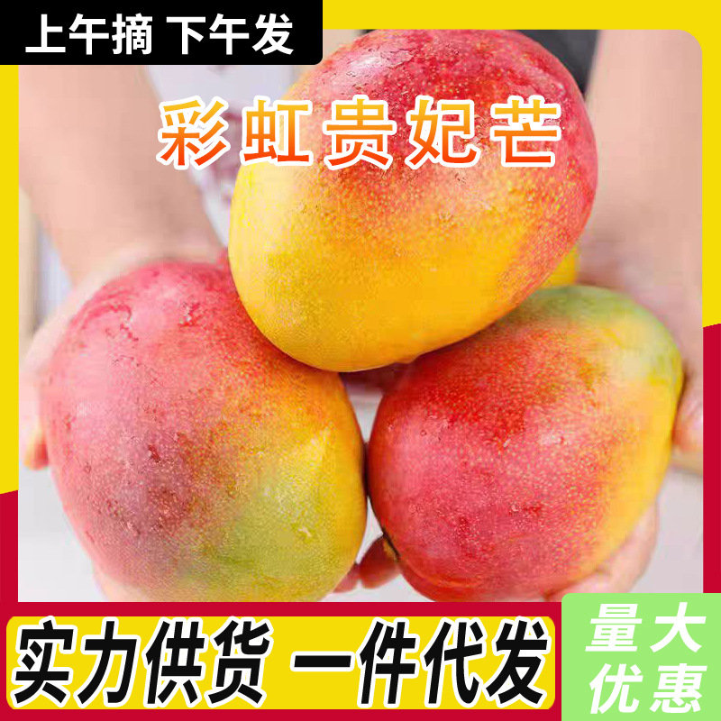 彩虹贵妃芒新鲜香甜多汁热带水果皮薄肉厚果园现摘批发一件代发金