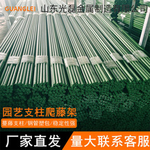 ���ټ�ֲ�������ܰ���䓹��S�϶��ǽz�ϼ����Ѱ������50֧���]