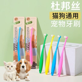 牙刷;牙膏;电动牙刷