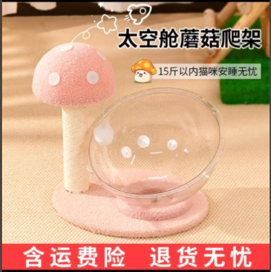 버섯 단층