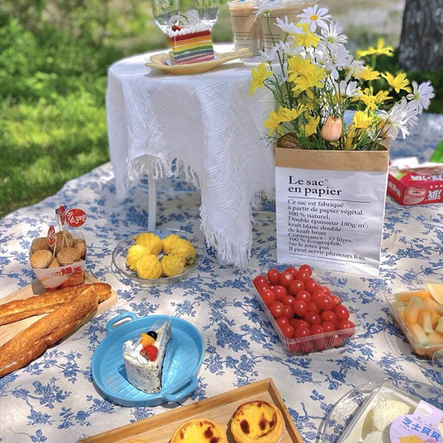 Ins style picnic mat spring outing lawn mat picnic tablecloth moisture-proof American printed cotton and linen tablecloth picnic cloth wholesale